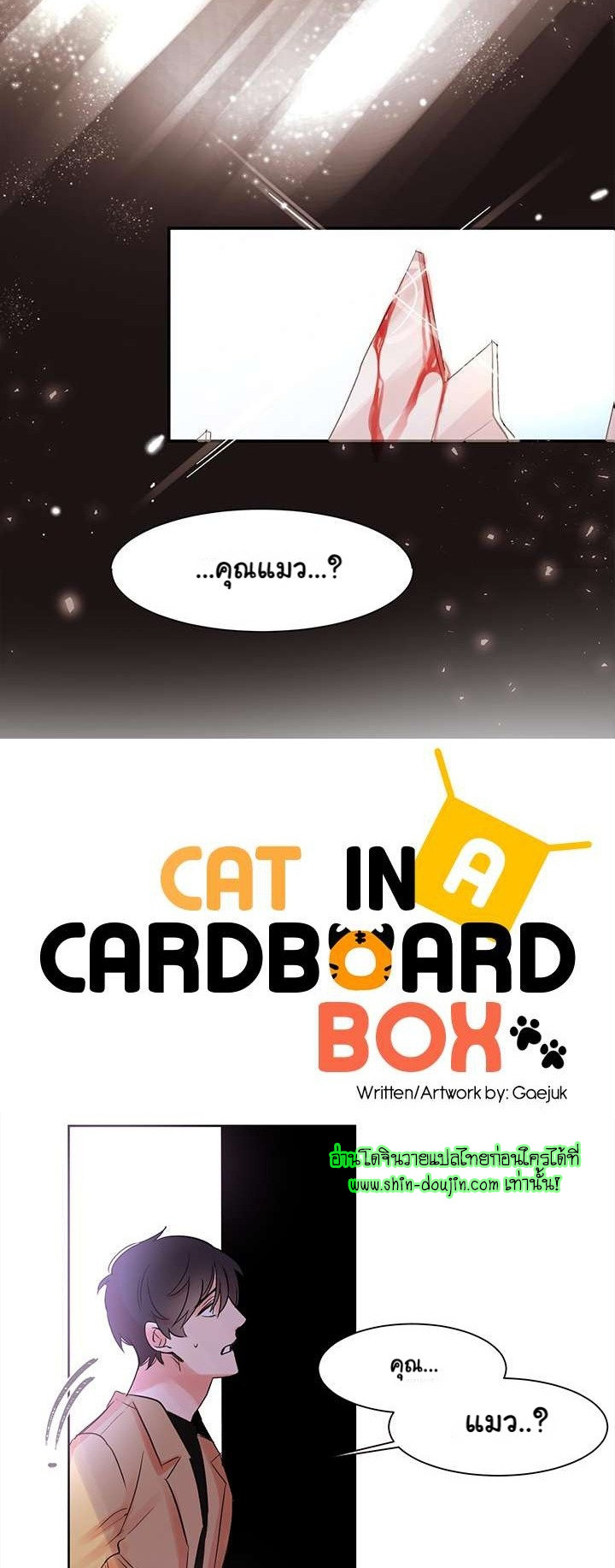 Cat in a Cardboard Box EP 3